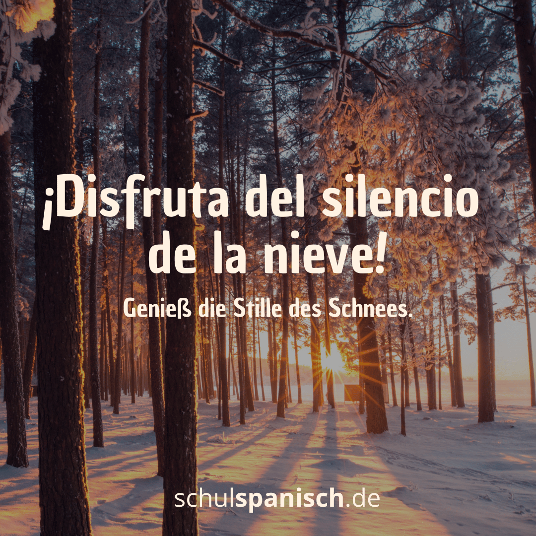 So lernst du mit Erfolg