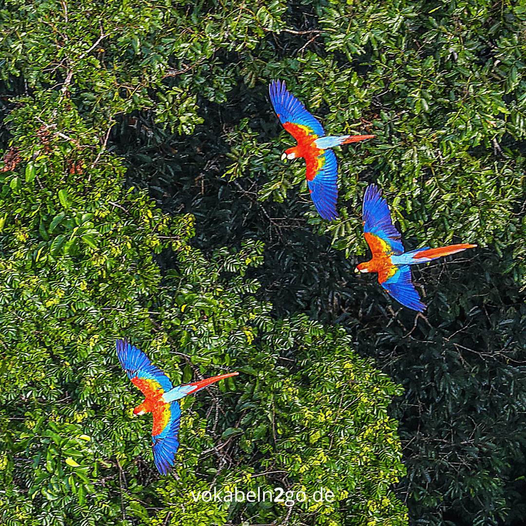 So lernst du mit Erfolg