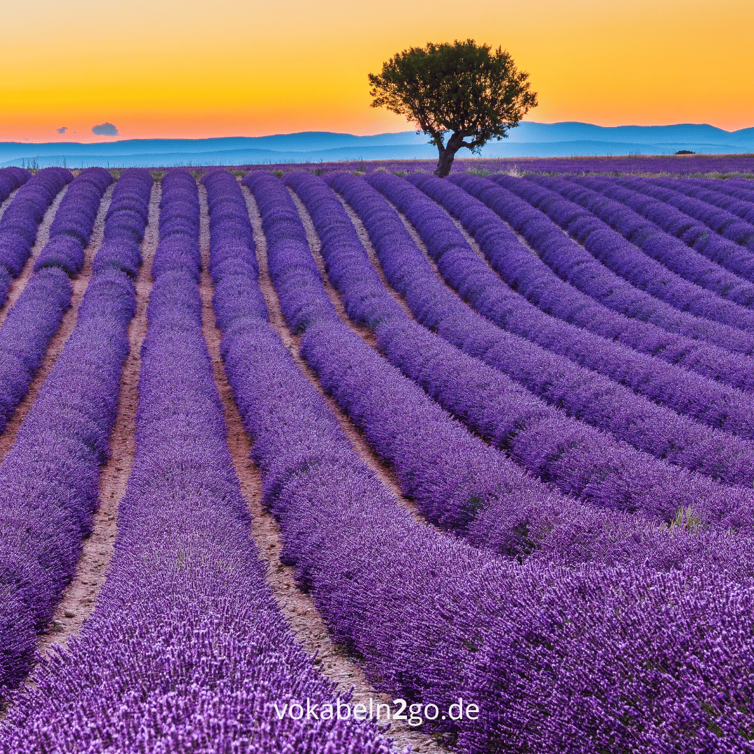 So lernst du mit Erfolg