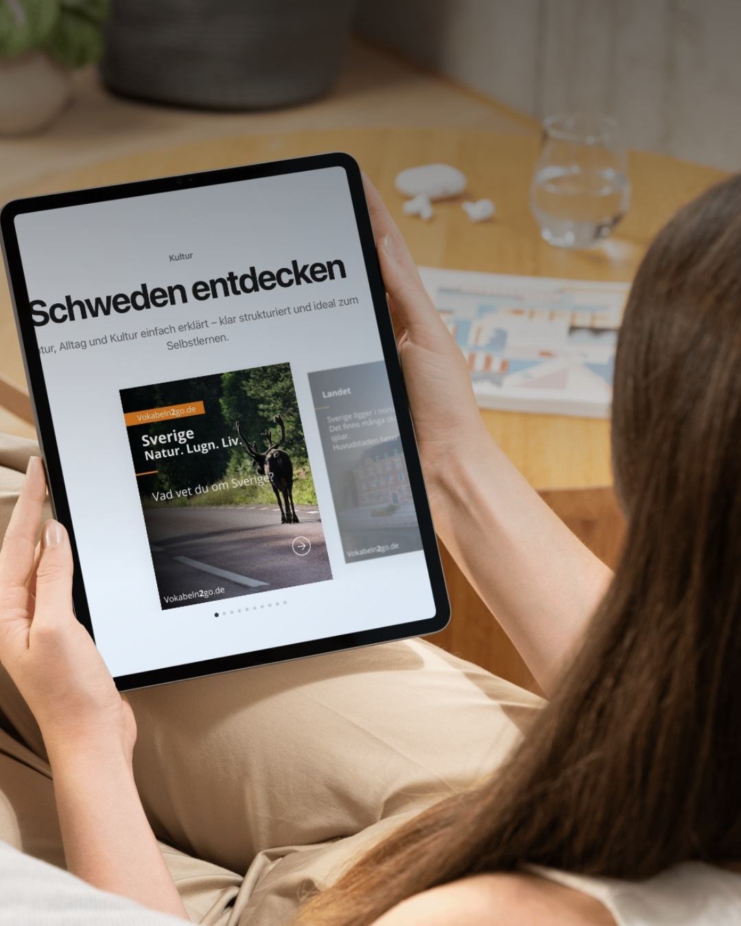 Blick ins Buch Schwedisch lernen