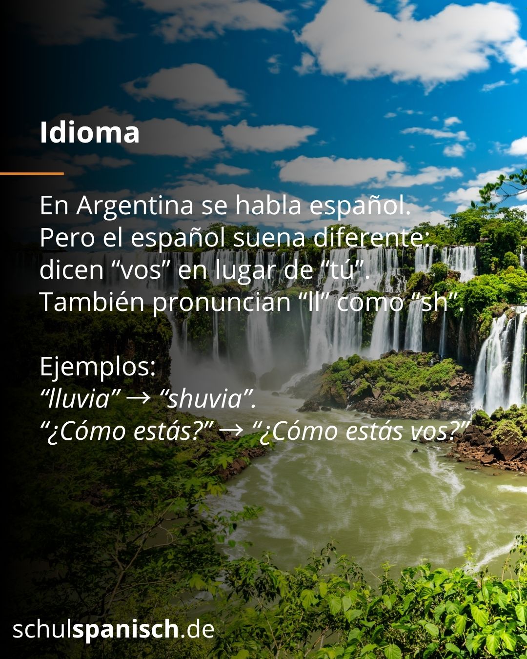 Info 4