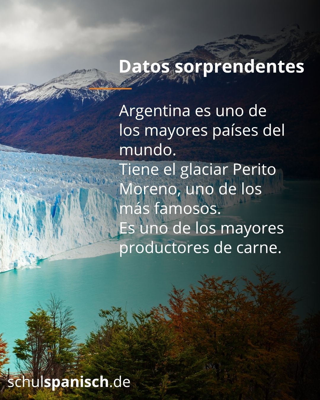 Info 7