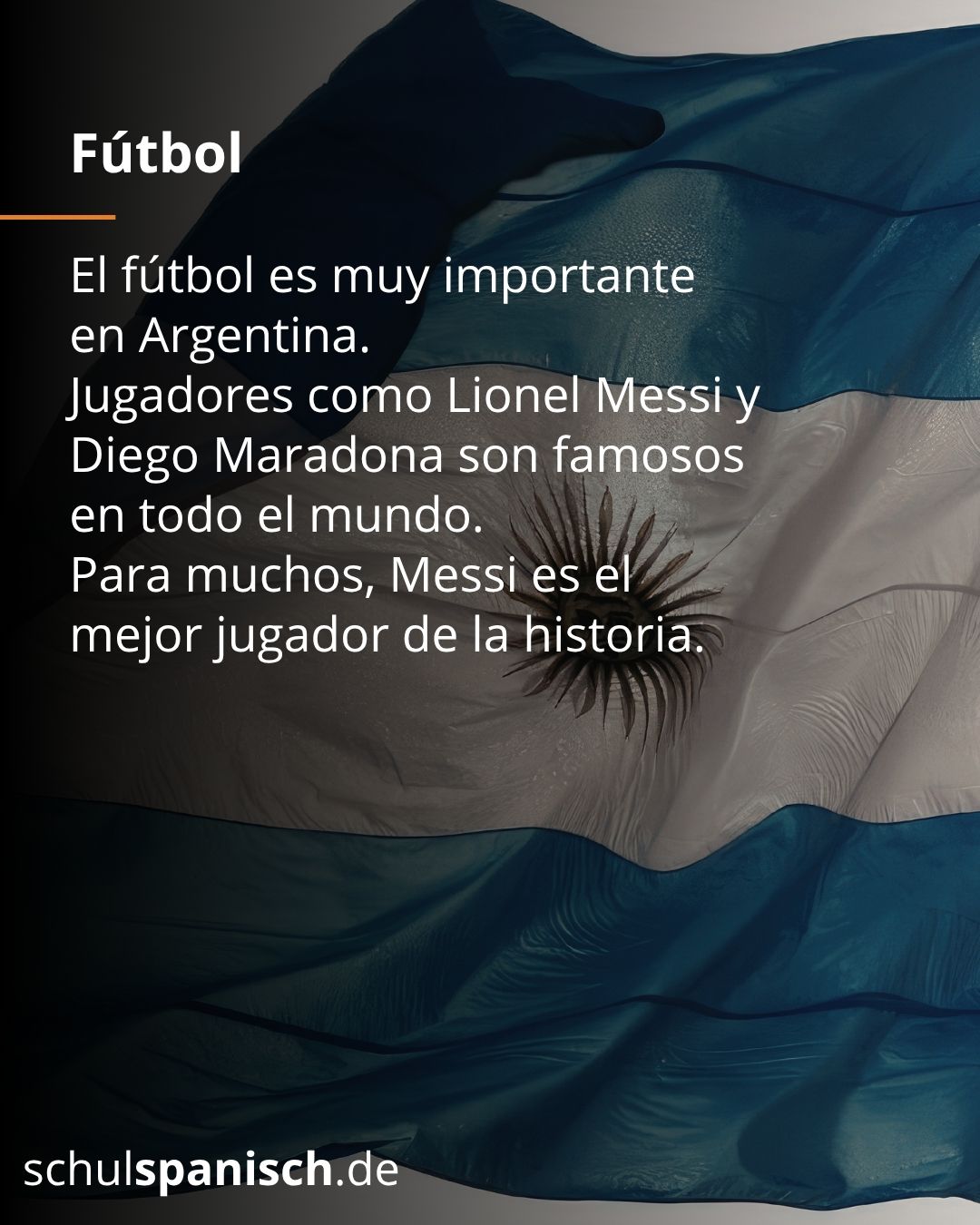 Info 8