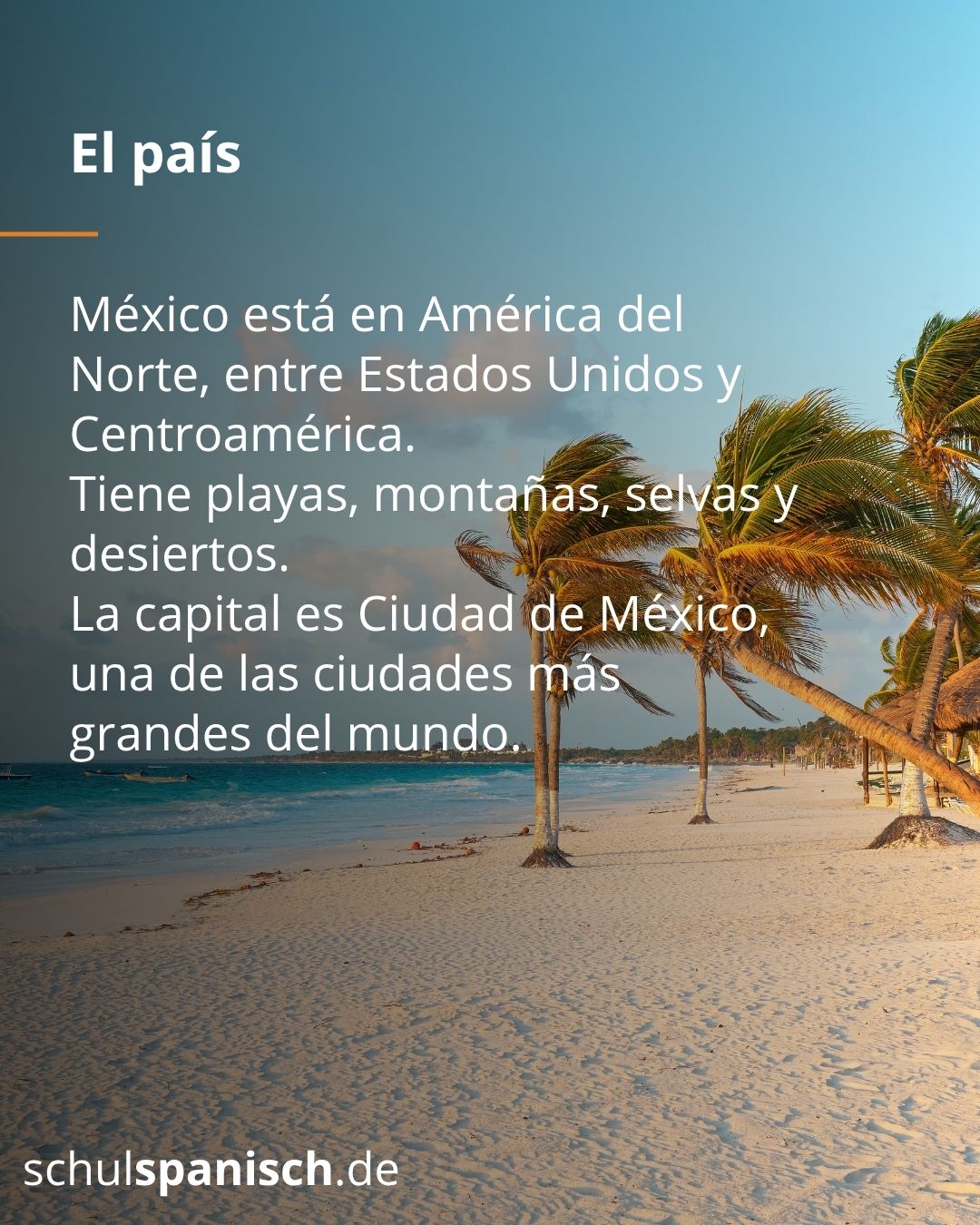 Info 2