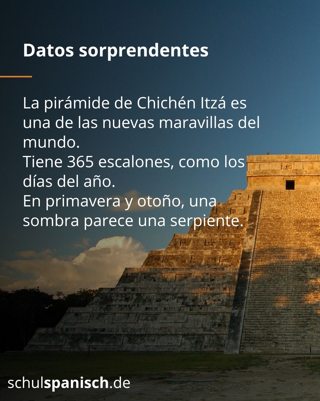 Info 6
