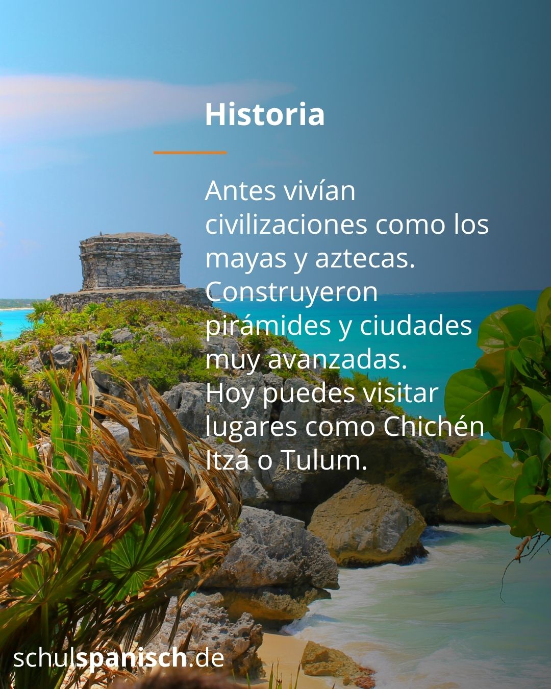 Info 8