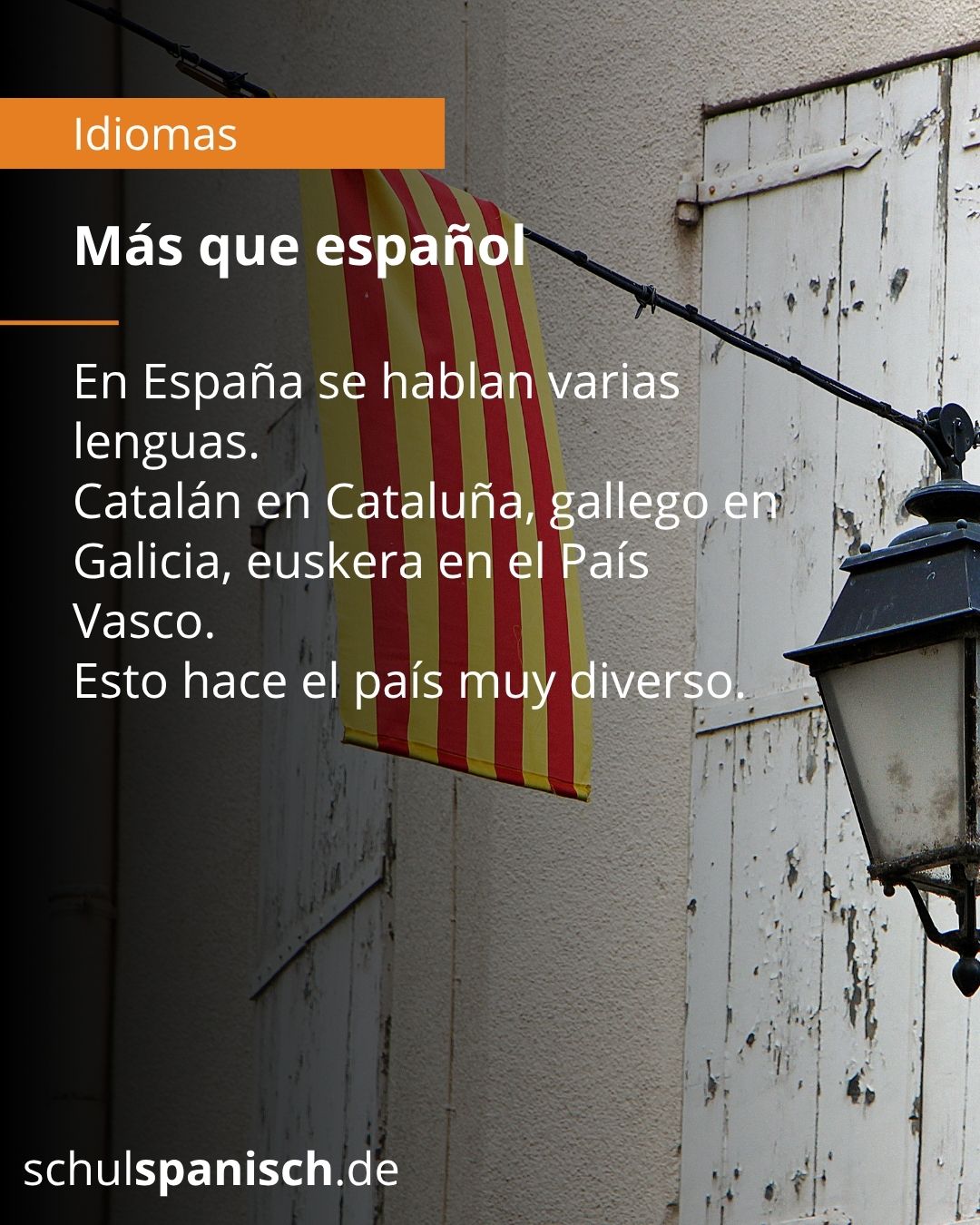 Info 4