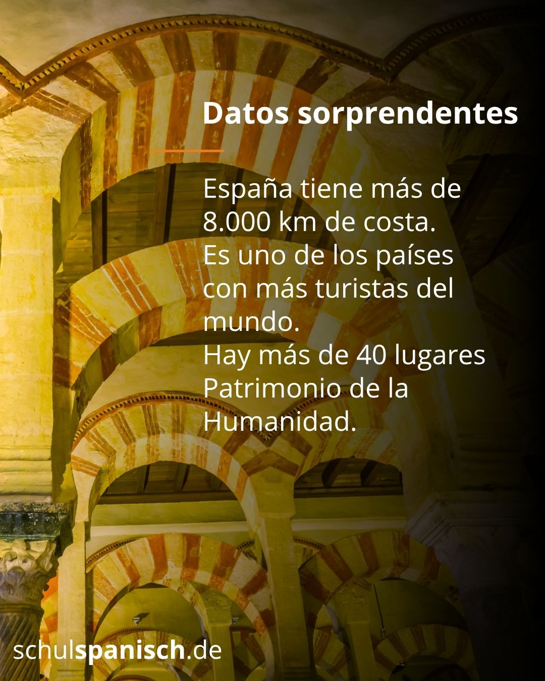 Info 6