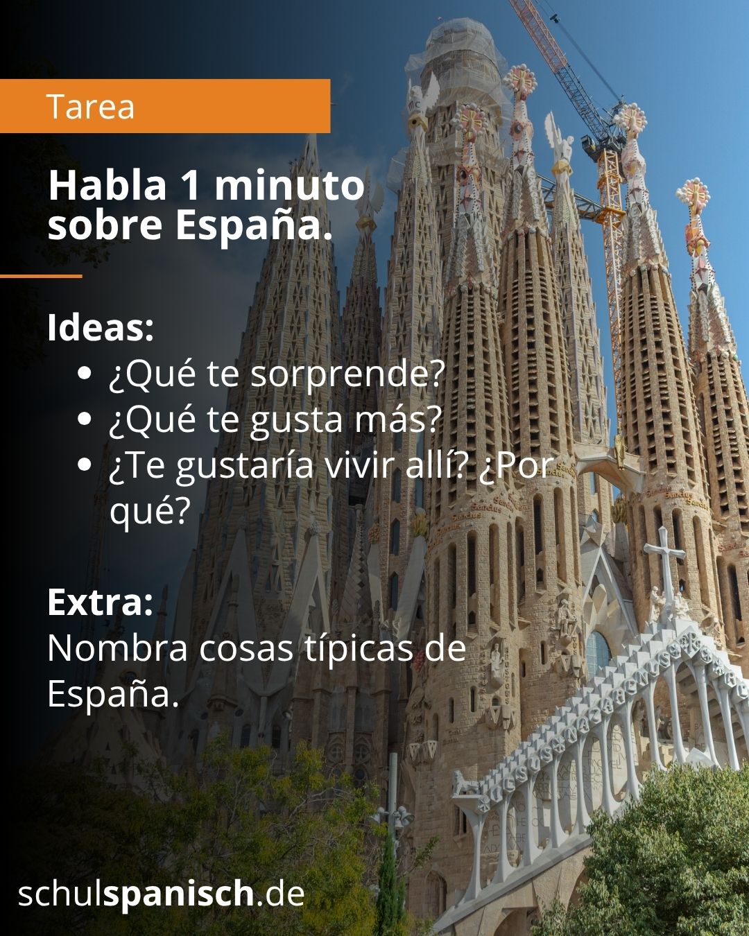 Info 8
