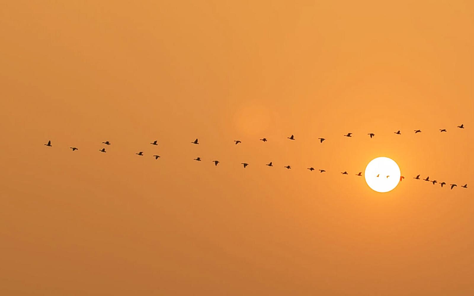 Retos de nuestro tiempo