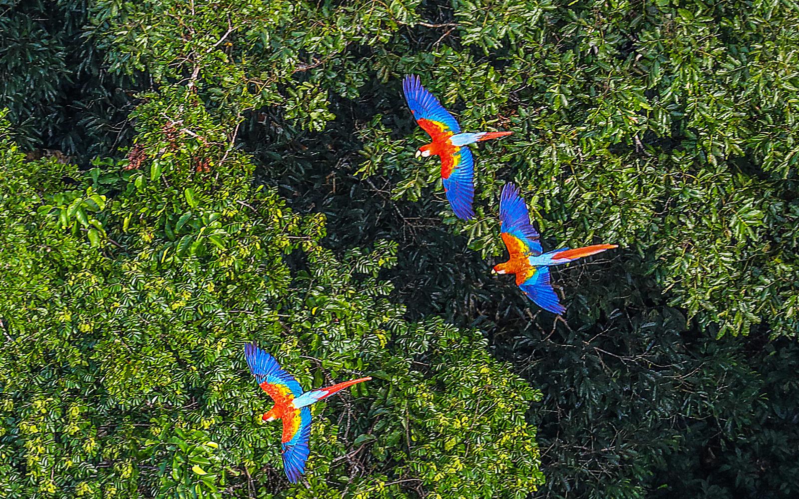 Umweltprobleme und gesellschaftliche Herausforderungen in Lateinamerika