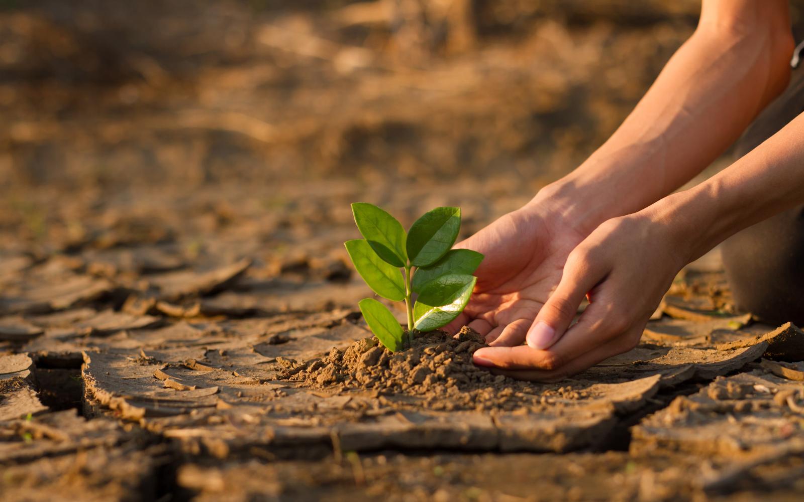 Desafíos sociales, políticos y ecológicos