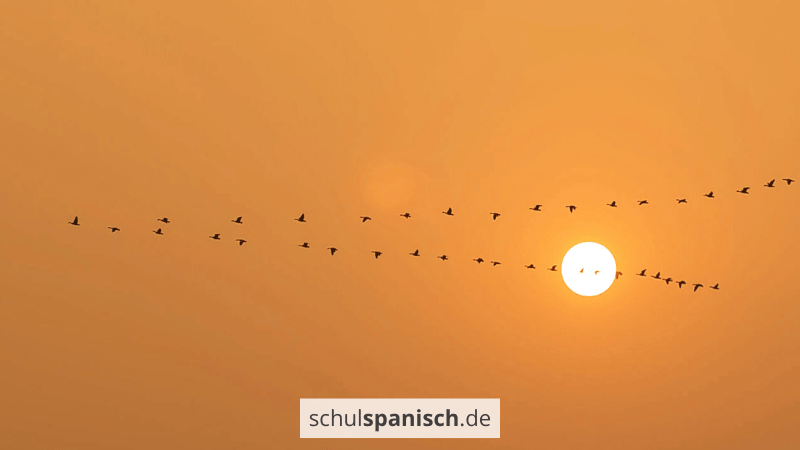 Migration in Spanien