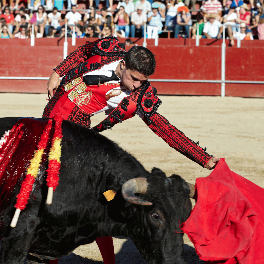 Audiolibro Spanisch – Mi familia y mis amigos